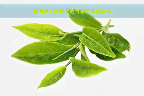 普洱茶：品茗之道与茶艺文化探究