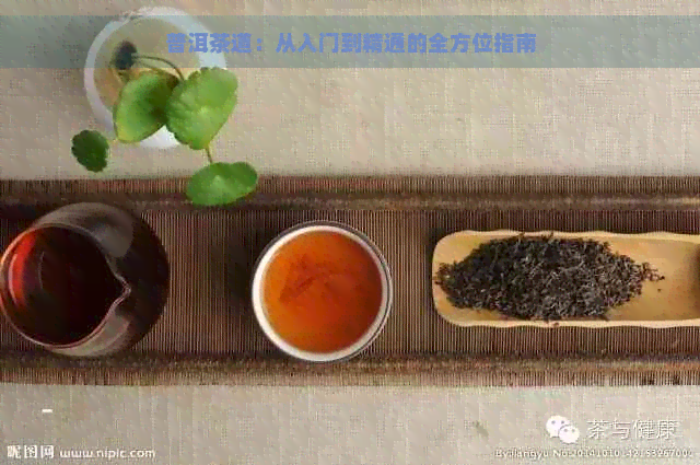 普洱茶道：从入门到精通的全方位指南