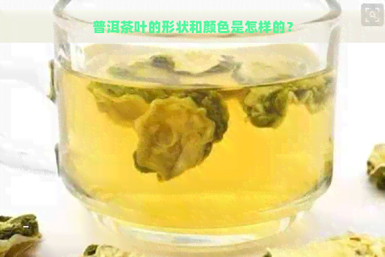 普洱茶叶的形状和颜色是怎样的？