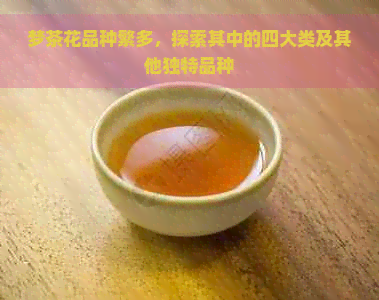 梦茶花品种繁多，探索其中的四大类及其他独特品种