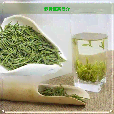 梦普洱茶简介