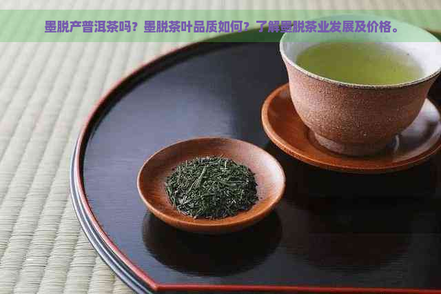 墨脱产普洱茶吗？墨脱茶叶品质如何？了解墨脱茶业发展及价格。