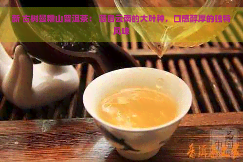 新 古树曼糯山普洱茶： 源自云南的大叶种，口感醇厚的独特风味