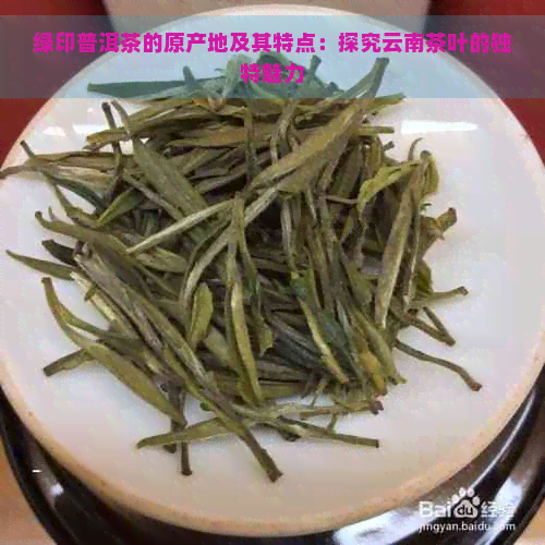 绿印普洱茶的原产地及其特点：探究云南茶叶的独特魅力