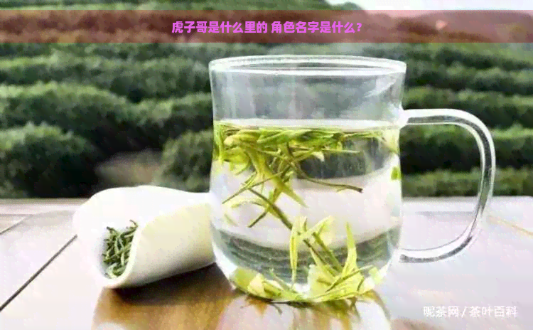 虎子哥是什么里的 角色名字是什么？