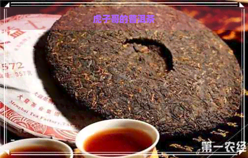 虎子哥的普洱茶