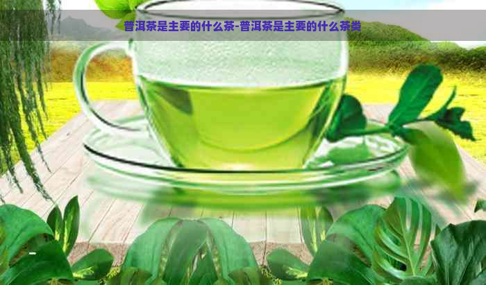 普洱茶是主要的什么茶-普洱茶是主要的什么茶类