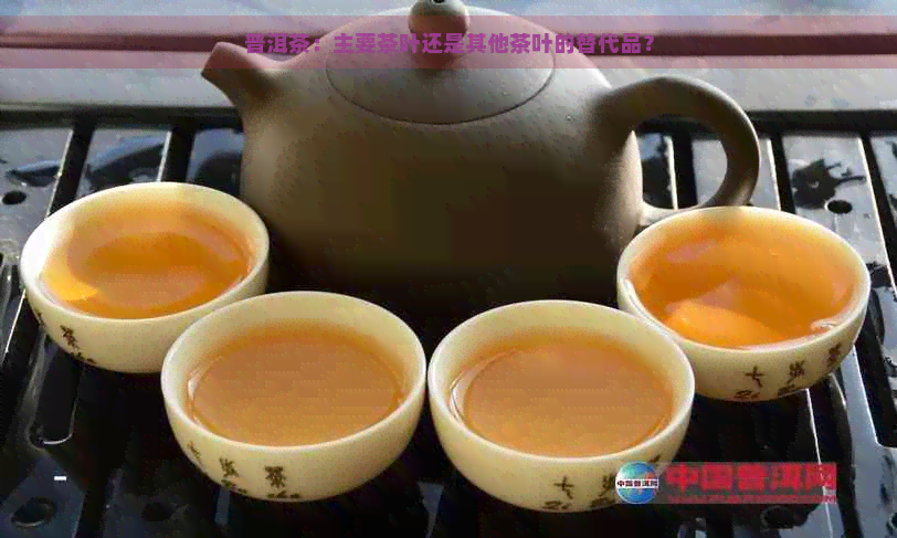 普洱茶：主要茶叶还是其他茶叶的替代品？