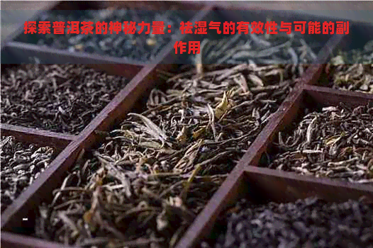 探索普洱茶的神秘力量：祛湿气的有效性与可能的副作用