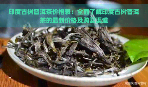 印度古树普洱茶价格表：全面了解印度古树普洱茶的最新价格及购买渠道