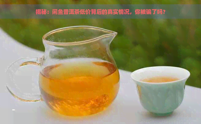 揭秘：闲鱼普洱茶低价背后的真实情况，你被骗了吗？