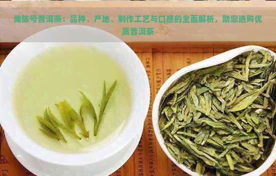 美陈号普洱茶：品种、产地、制作工艺与口感的全面解析，助您选购优质普洱茶