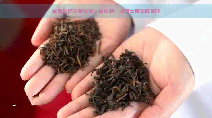 云南美陈号普洱茶：品质越，源自云南美陈茶叶