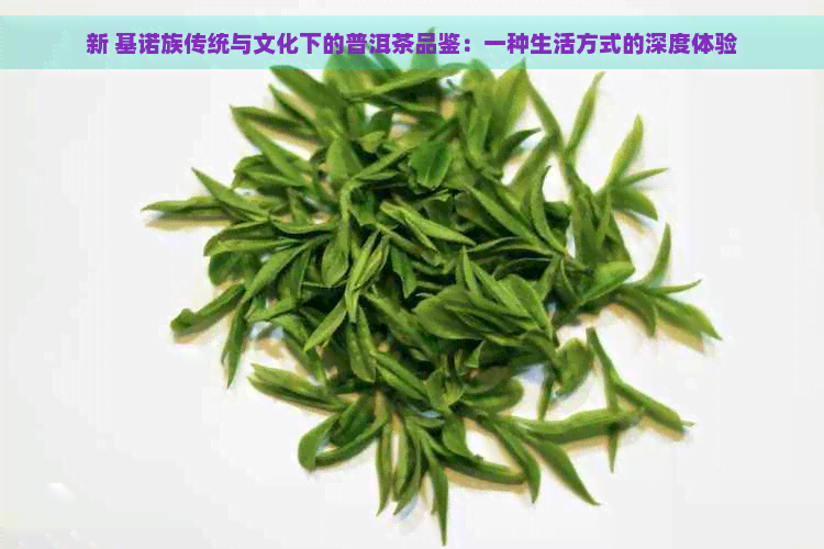 新 基诺族传统与文化下的普洱茶品鉴：一种生活方式的深度体验