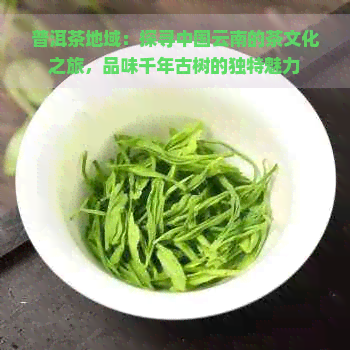 普洱茶地域：探寻中国云南的茶文化之旅，品味千年古树的独特魅力