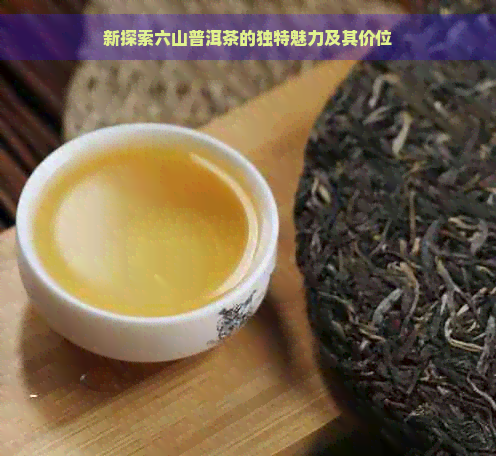 新探索六山普洱茶的独特魅力及其价位