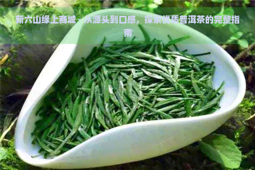 新六山缘上商城 - 从源头到口感，探索优质普洱茶的完整指南