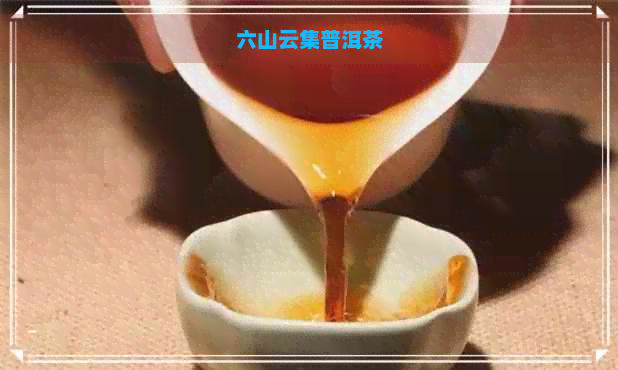 六山云集普洱茶