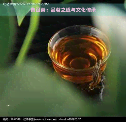 普洱茶：品茗之道与文化传承