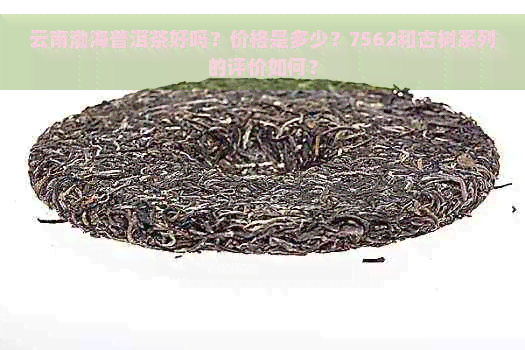 云南渤海普洱茶好吗？价格是多少？7562和古树系列的评价如何？