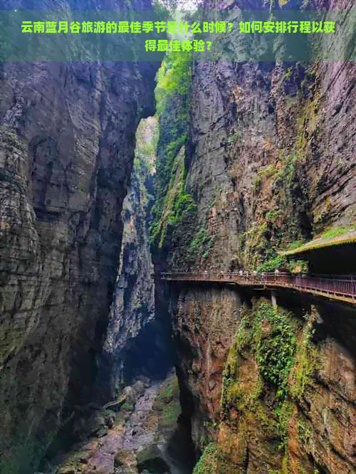 云南蓝月谷旅游的更佳季节是什么时候？如何安排行程以获得更佳体验？