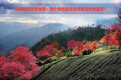 云南旅游四季推荐：哪个季节最适合探索云南的美景？