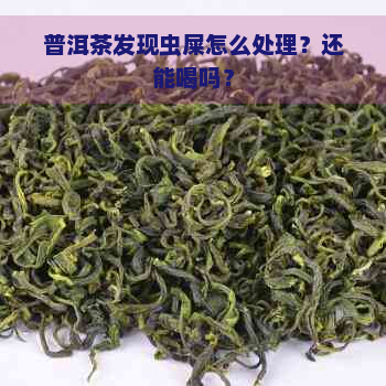 普洱茶发现虫屎怎么处理？还能喝吗？