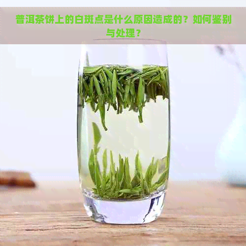 普洱茶饼上的白斑点是什么原因造成的？如何鉴别与处理？