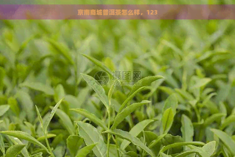 京南商城普洱茶怎么样，123