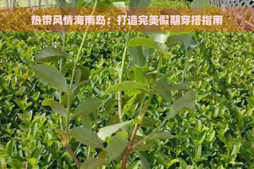 热带风情海南岛：打造完美假期穿搭指南