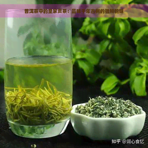 普洱茶中的皇家贡茶：品味千年古树的独特韵味