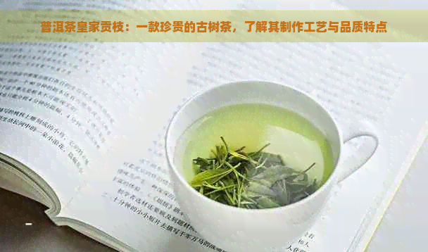 普洱茶皇家贡枝：一款珍贵的古树茶，了解其制作工艺与品质特点