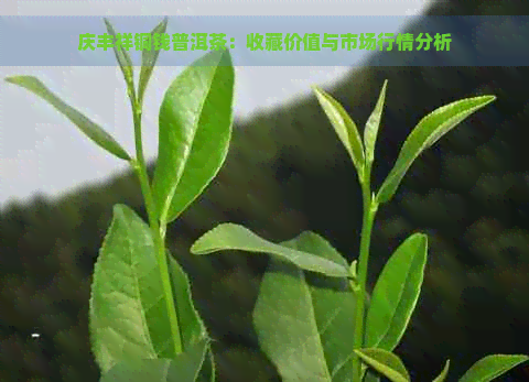 庆丰祥铜钱普洱茶：收藏价值与市场行情分析