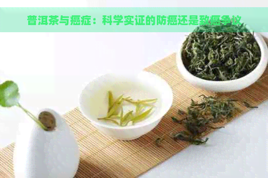 普洱茶与癌症：科学实证的防癌还是致癌争议