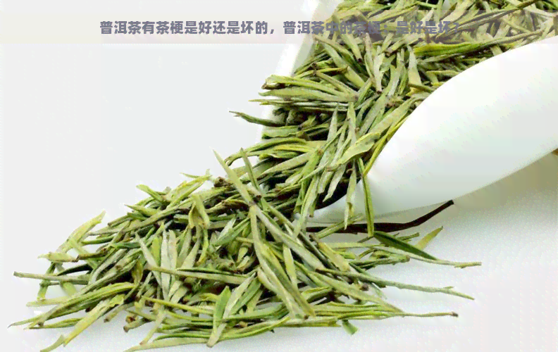 普洱茶有茶梗是好还是坏的，普洱茶中的茶梗：是好是坏？