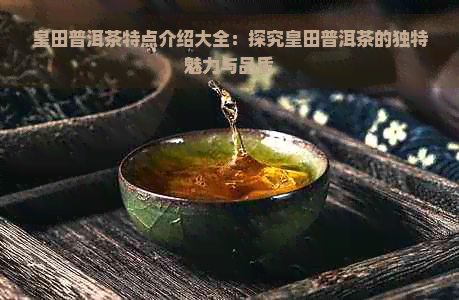 皇田普洱茶特点介绍大全：探究皇田普洱茶的独特魅力与品质