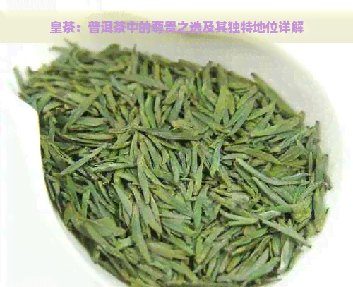 皇茶：普洱茶中的尊贵之选及其独特地位详解