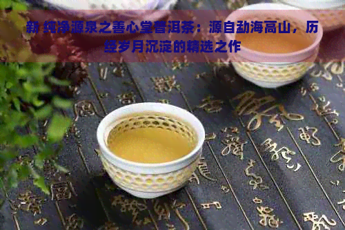 新 纯净源泉之善心堂普洱茶：源自勐海高山，历经岁月沉淀的精选之作