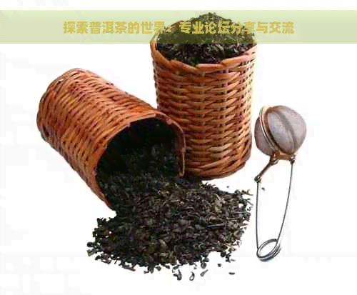 探索普洱茶的世界：专业论坛分享与交流