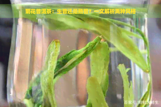 菊花普洱茶：生普还是熟普？一文解析两种风格