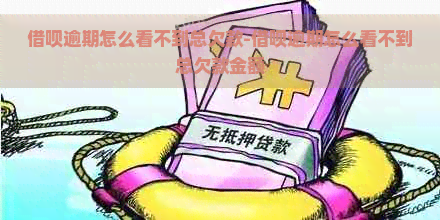 借呗逾期怎么看不到总欠款-借呗逾期怎么看不到总欠款金额