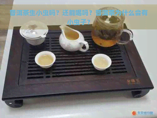 普洱茶生小虫吗？还能喝吗？普洱茶为什么会有小虫子？