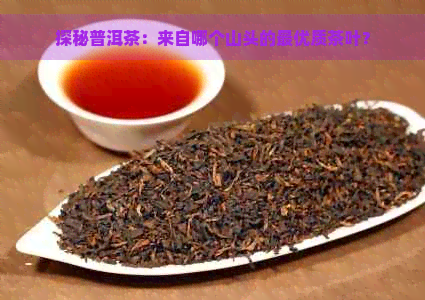 探秘普洱茶：来自哪个山头的更优质茶叶？