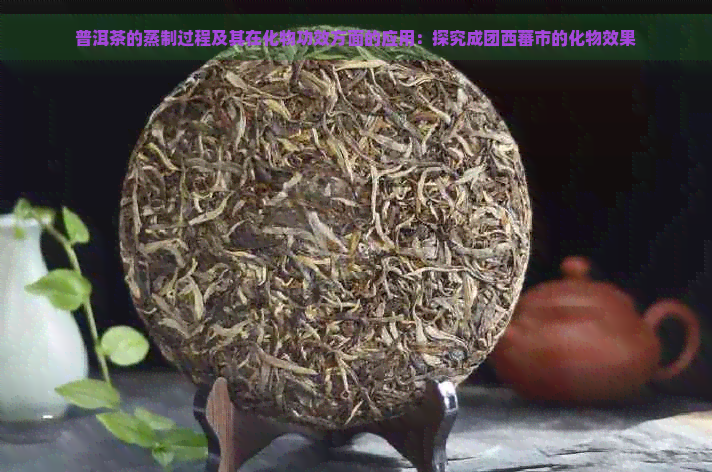 普洱茶的蒸制过程及其在化物功效方面的应用：探究成团西蕃市的化物效果