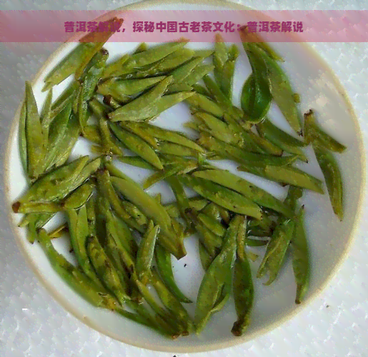 普洱茶解说，探秘中国古老茶文化：普洱茶解说