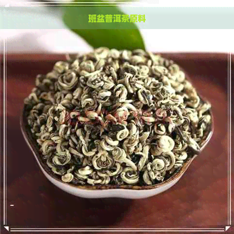 班盆普洱茶原料