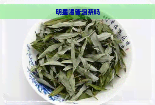 明星喝普洱茶吗