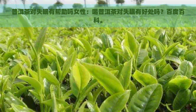 普洱茶对失眠有帮助吗女性：喝普洱茶对失眠有好处吗？百度百科。