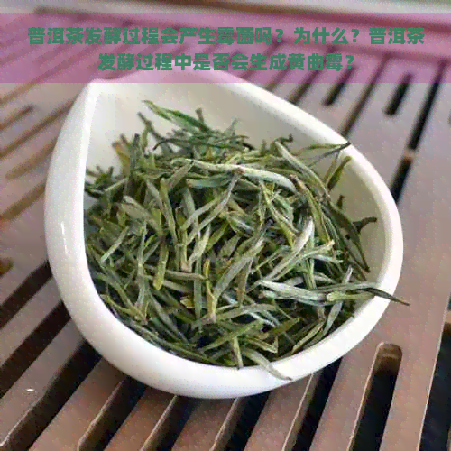 普洱茶发酵过程会产生霉菌吗？为什么？普洱茶发酵过程中是否会生成黄曲霉？