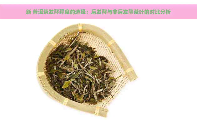 新 普洱茶发酵程度的选择：后发酵与非后发酵茶叶的对比分析